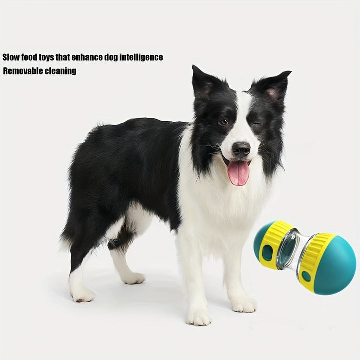 Interaktiver Damen Rollball