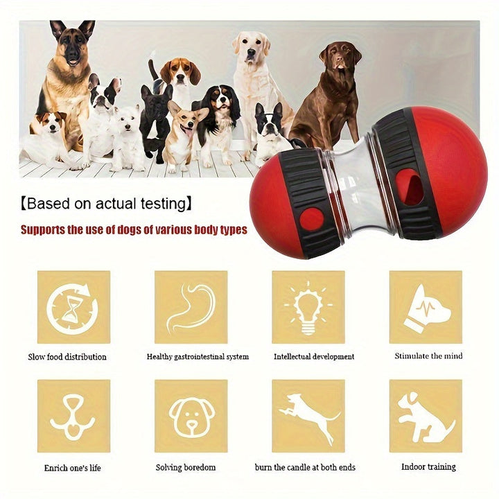 Modischer Damen Hundeball mit Leckerlispender